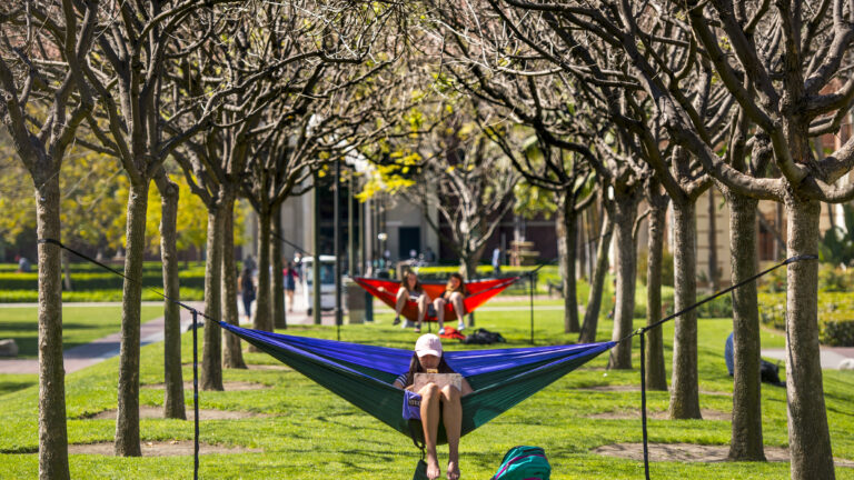Students lounging in hammocks on campus.