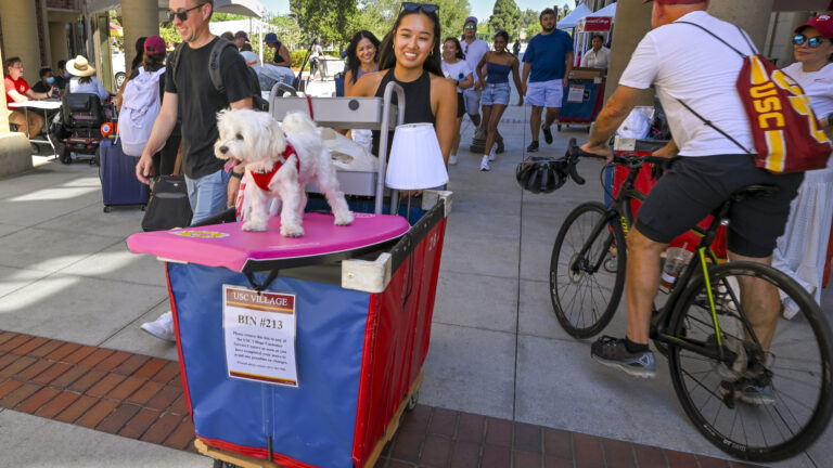 New first year student Lana Le, 19, gives her dog Buddy a 4-year-old Maltese a tour of her residential college during move-in day