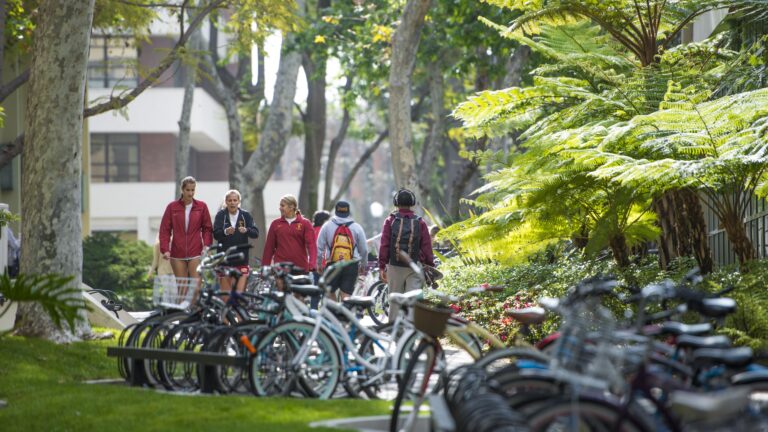 Students walking through campus.