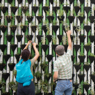 two people working in an outdoor vertical growing station
