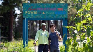 Environmental studies majors nurture vibrant gardens and bright minds